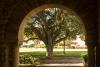 Memorial Quad on Stanford Campus. 